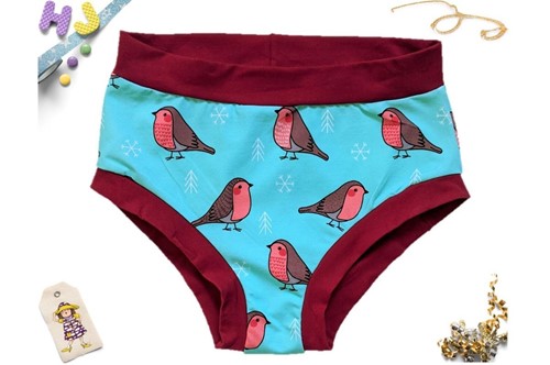 Buy L Briefs Turquoise Robins now using this page